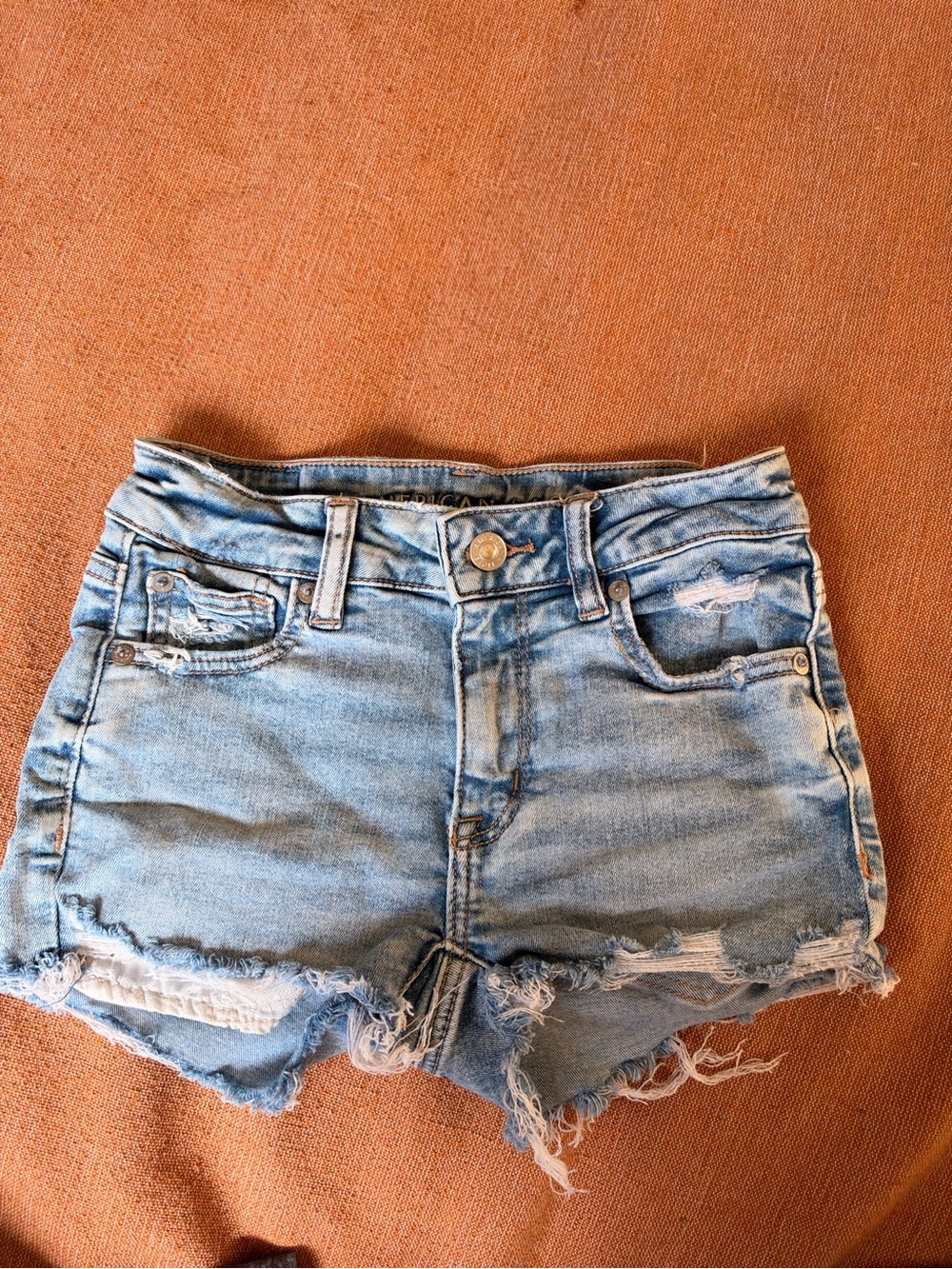 American Eagle Outfitters Light Blue Distressed Denim Cutoff Shorts